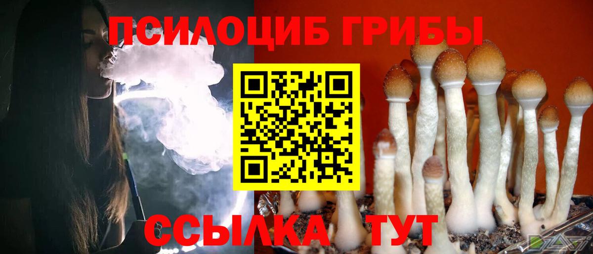 Дзержинск  Псилоцибиновые грибы GOLDEN TEACHER  Вход с VPN 